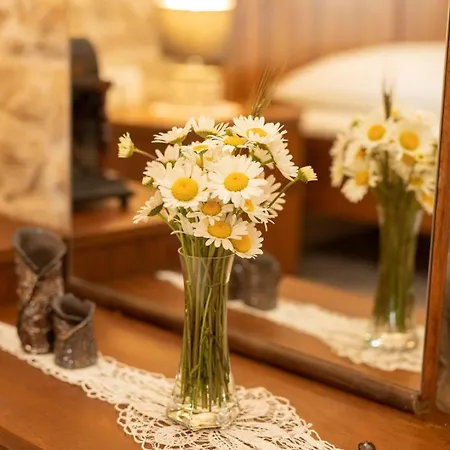 Villa Milka Labin (Istria)